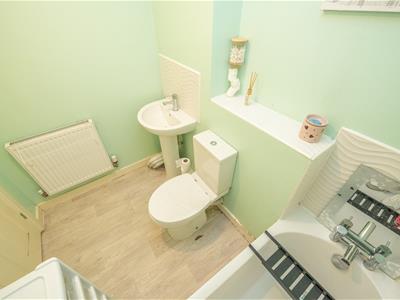 Picture 20